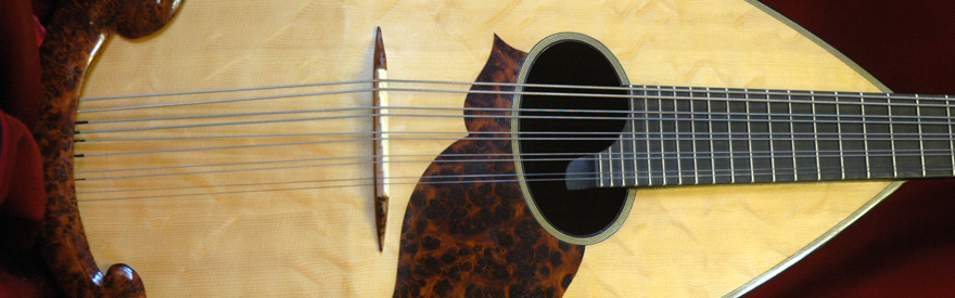 Mandocello(5 double strings)